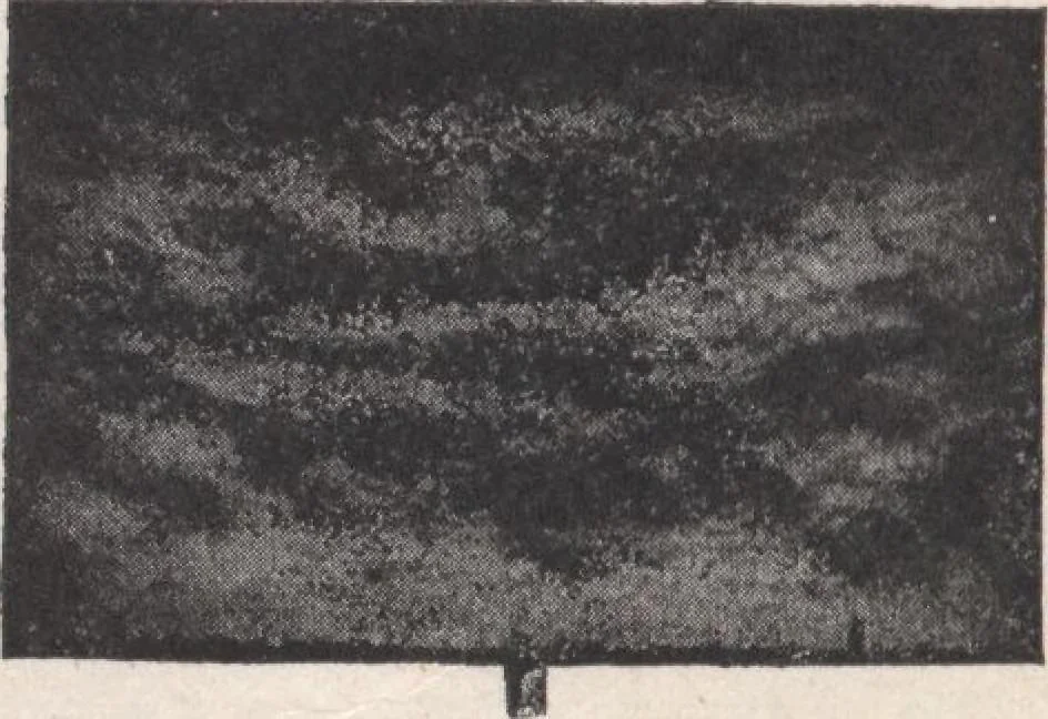 An illustration from Miracle concrete: the great modern industry, 1909, leaf 35
