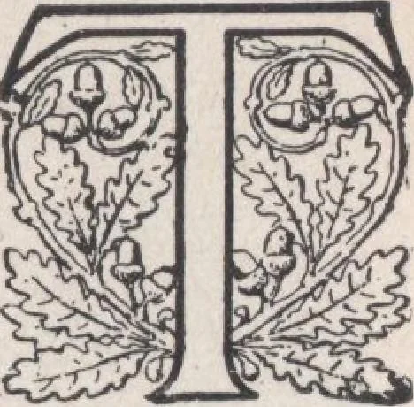 An illustration from Miracle concrete: the great modern industry, 1909, leaf 88