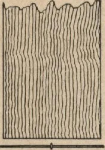 An illustration from Mission furniture: how to make it part two, 1910, leaf 29