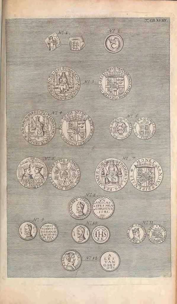 An illustration from Muséum regium; seu, Catalogus rerum tam naturalium, quàm artificialium, quae in basilica bibliothecae augustisimi Daniae Norvegiaeq[ue], 1696, leaf 271
