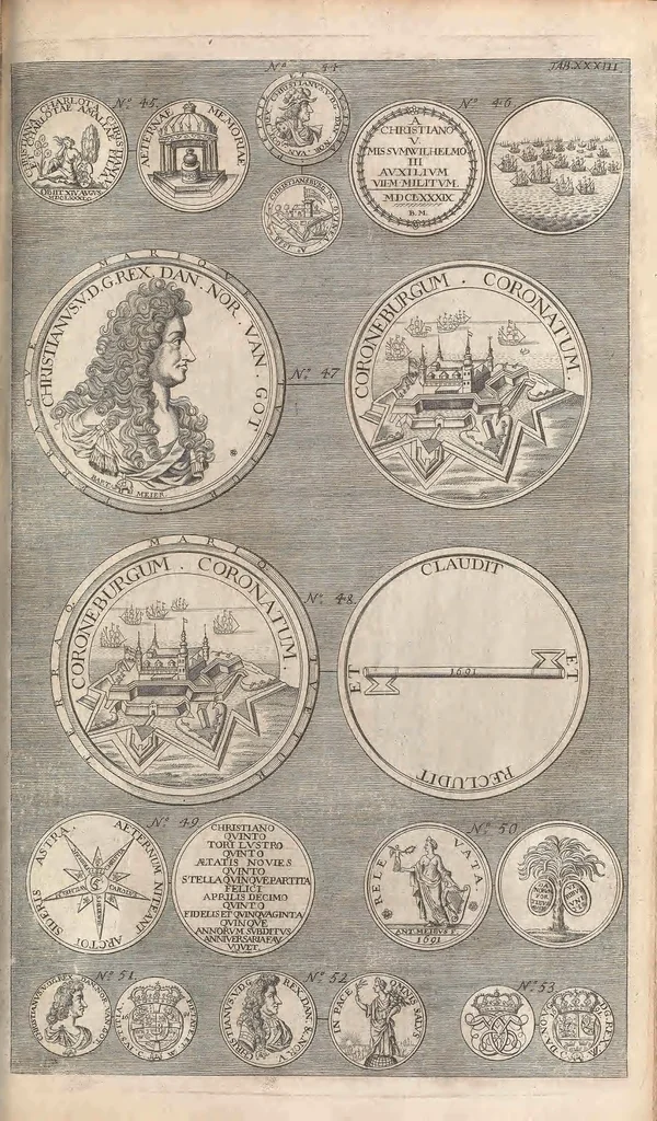 An illustration from Muséum regium; seu, Catalogus rerum tam naturalium, quàm artificialium, quae in basilica bibliothecae augustisimi Daniae Norvegiaeq[ue], 1696, leaf 301