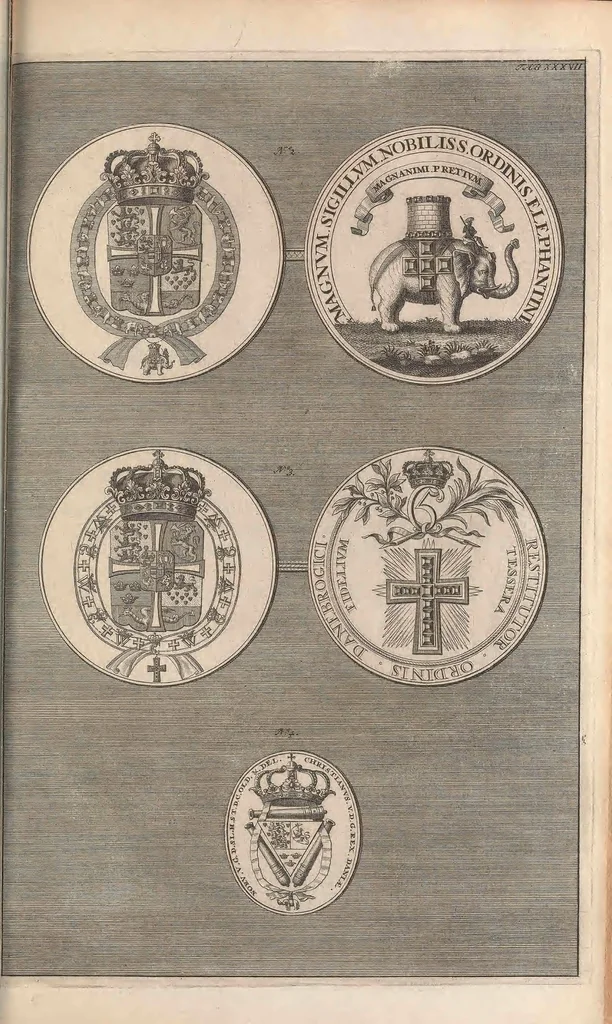 An illustration from Muséum regium; seu, Catalogus rerum tam naturalium, quàm artificialium, quae in basilica bibliothecae augustisimi Daniae Norvegiaeq[ue], 1696, leaf 309