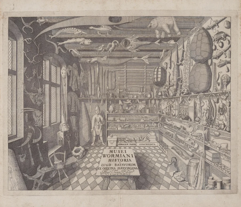 An illustration from Museum Wormianum; seu, Historia rerum rariorum, tam naturalium, quam artificialium, tam domesticarum, quam exoticarum, quae Hafniae Danorum in a aedibus authoris servantur, 1655, leaf 11