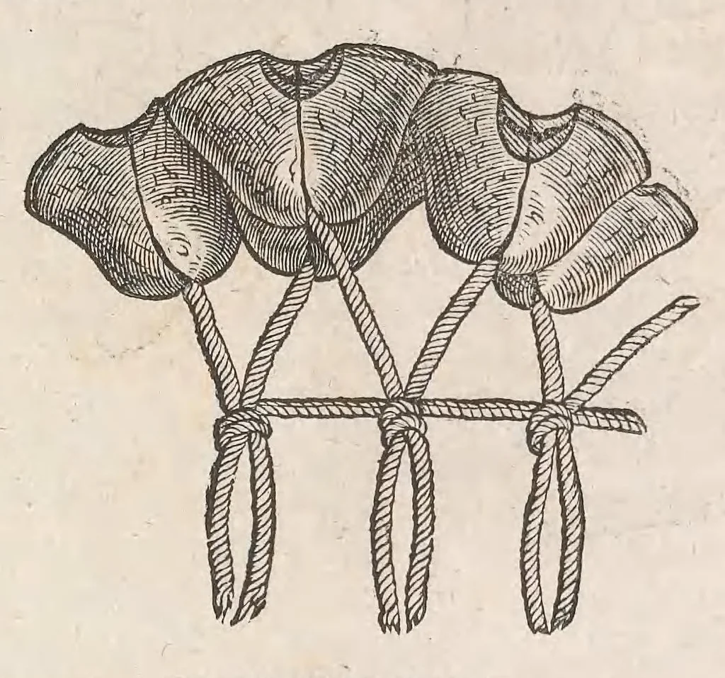 An illustration from Museum Wormianum; seu, Historia rerum rariorum, tam naturalium, quam artificialium, tam domesticarum, quam exoticarum, quae Hafniae Danorum in a aedibus authoris servantur, 1655, leaf 209