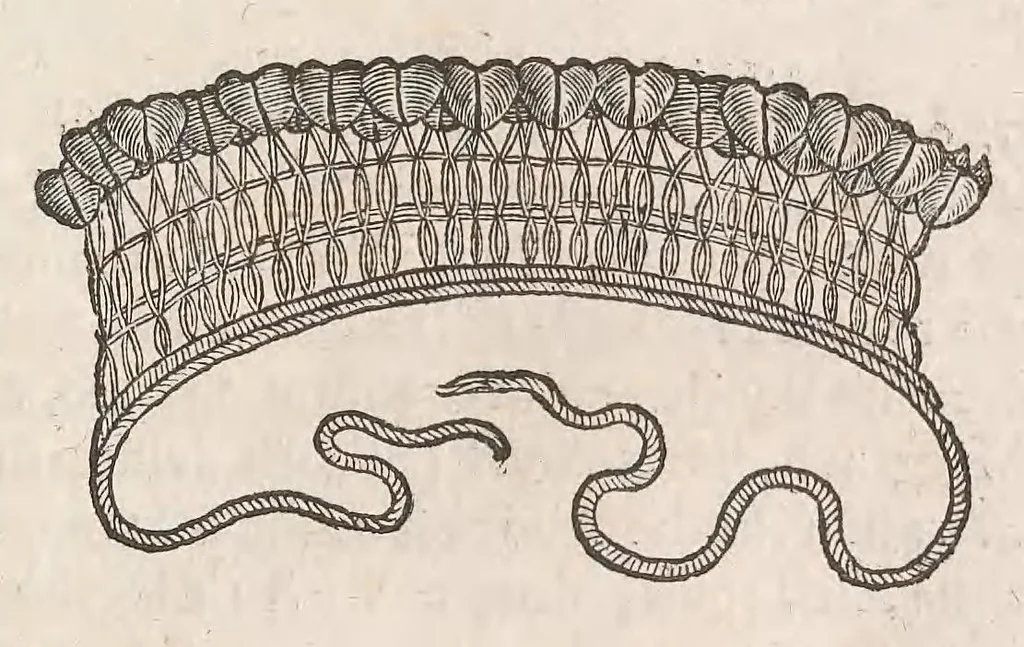 An illustration from Museum Wormianum; seu, Historia rerum rariorum, tam naturalium, quam artificialium, tam domesticarum, quam exoticarum, quae Hafniae Danorum in a aedibus authoris servantur, 1655, leaf 209