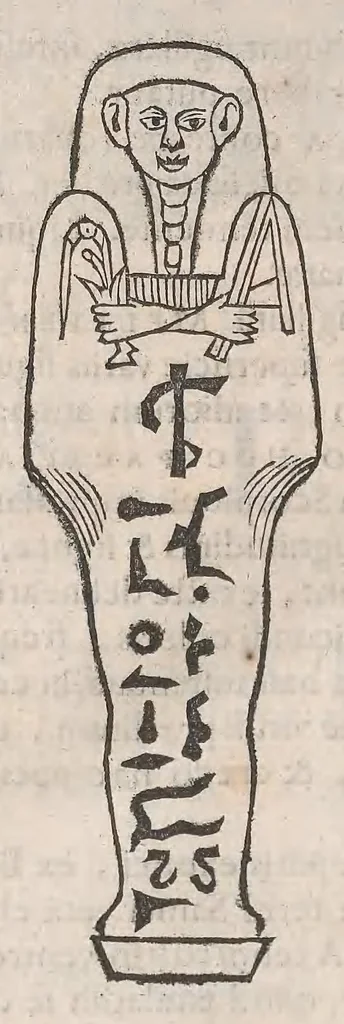 An illustration from Museum Wormianum; seu, Historia rerum rariorum, tam naturalium, quam artificialium, tam domesticarum, quam exoticarum, quae Hafniae Danorum in a aedibus authoris servantur, 1655, leaf 372