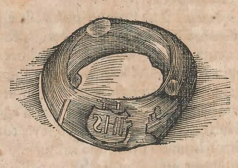 An illustration from Museum Wormianum; seu, Historia rerum rariorum, tam naturalium, quam artificialium, tam domesticarum, quam exoticarum, quae Hafniae Danorum in a aedibus authoris servantur, 1655, leaf 402