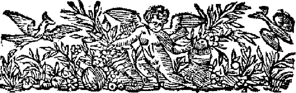 An illustration from Curiositez inoüyes, 1629, leaf 153