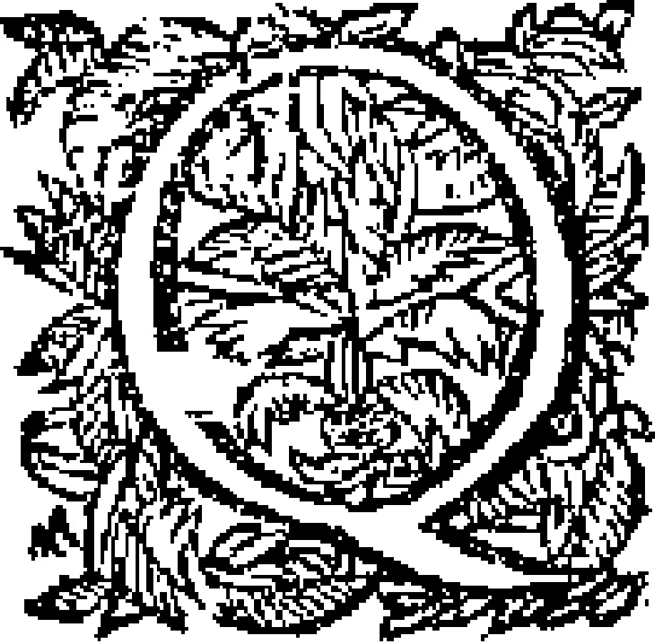 An illustration from Curiositez inoüyes, 1629, leaf 209
