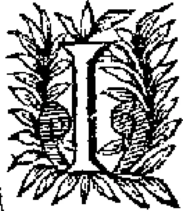 An illustration from Curiositez inoüyes, 1629, leaf 284