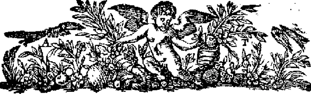 An illustration from Curiositez inoüyes, 1629, leaf 439