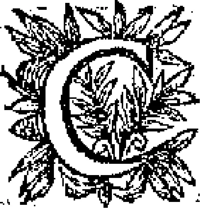 An illustration from Curiositez inoüyes, 1629, leaf 473
