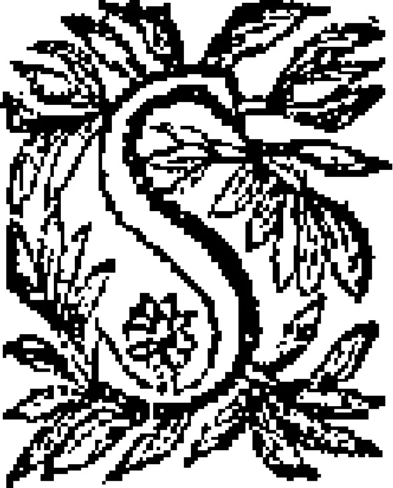 An illustration from Curiositez inoüyes, 1629, leaf 492