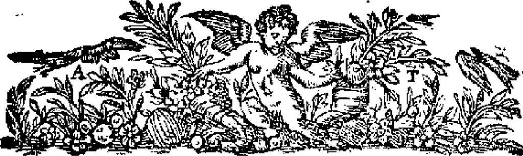 An illustration from Curiositez inoüyes, 1629, leaf 565