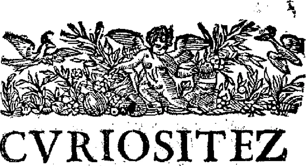 An illustration from Curiositez inoüyes, 1629, leaf 58