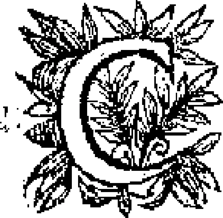 An illustration from Curiositez inoüyes, 1629, leaf 6