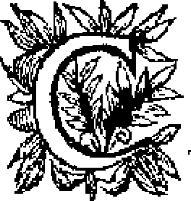An illustration from Curiositez inoüyes, 1629, leaf 636