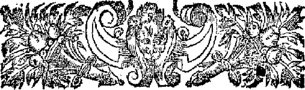 An illustration from Curiositez inoüyes, 1629, leaf 755
