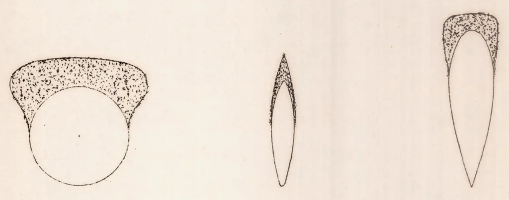 An illustration from The Formation of Ice upon Exposed Parts of an Airplane in Flight, 1928, leaf 11