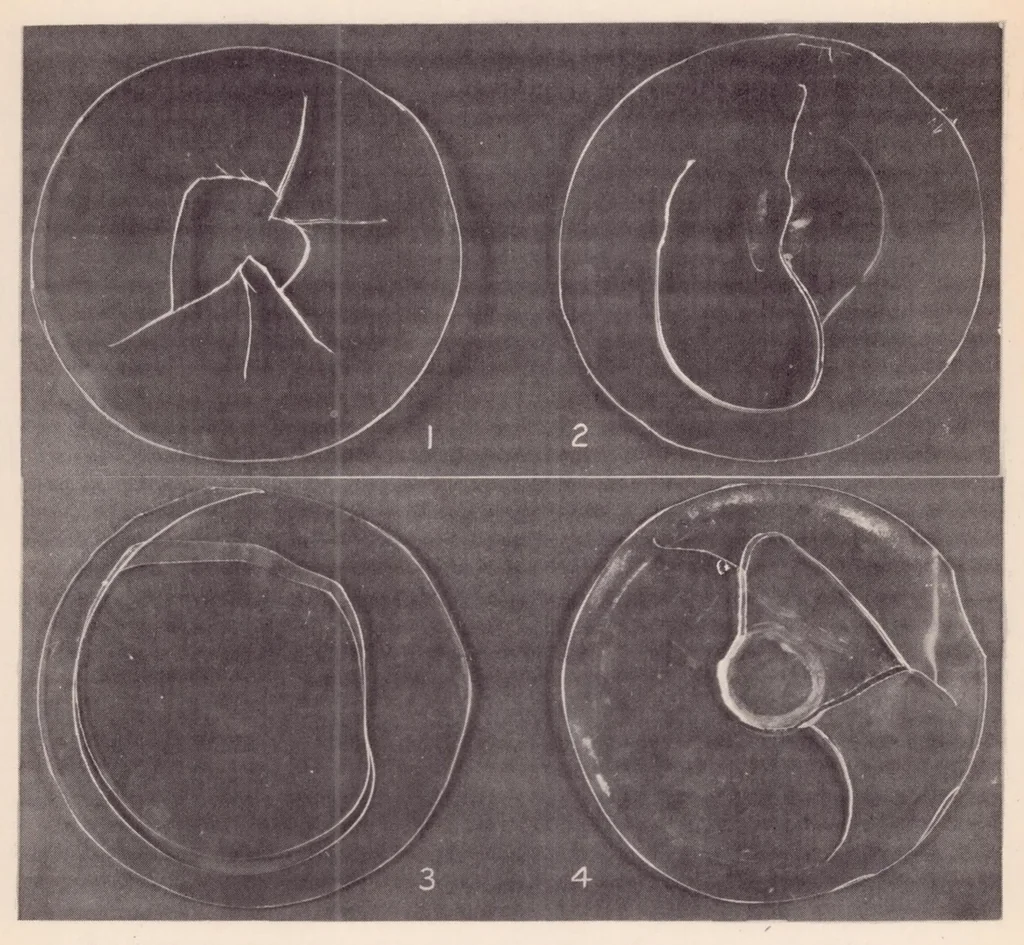 An illustration from Resistance of Transparent Plastics to Impact, 1939, leaf 23