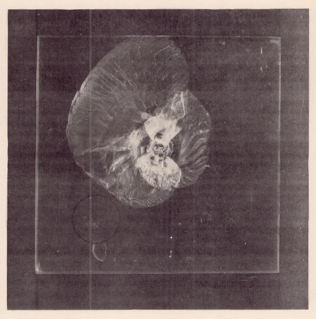 An illustration from Resistance of Transparent Plastics to Impact, 1939, leaf 27