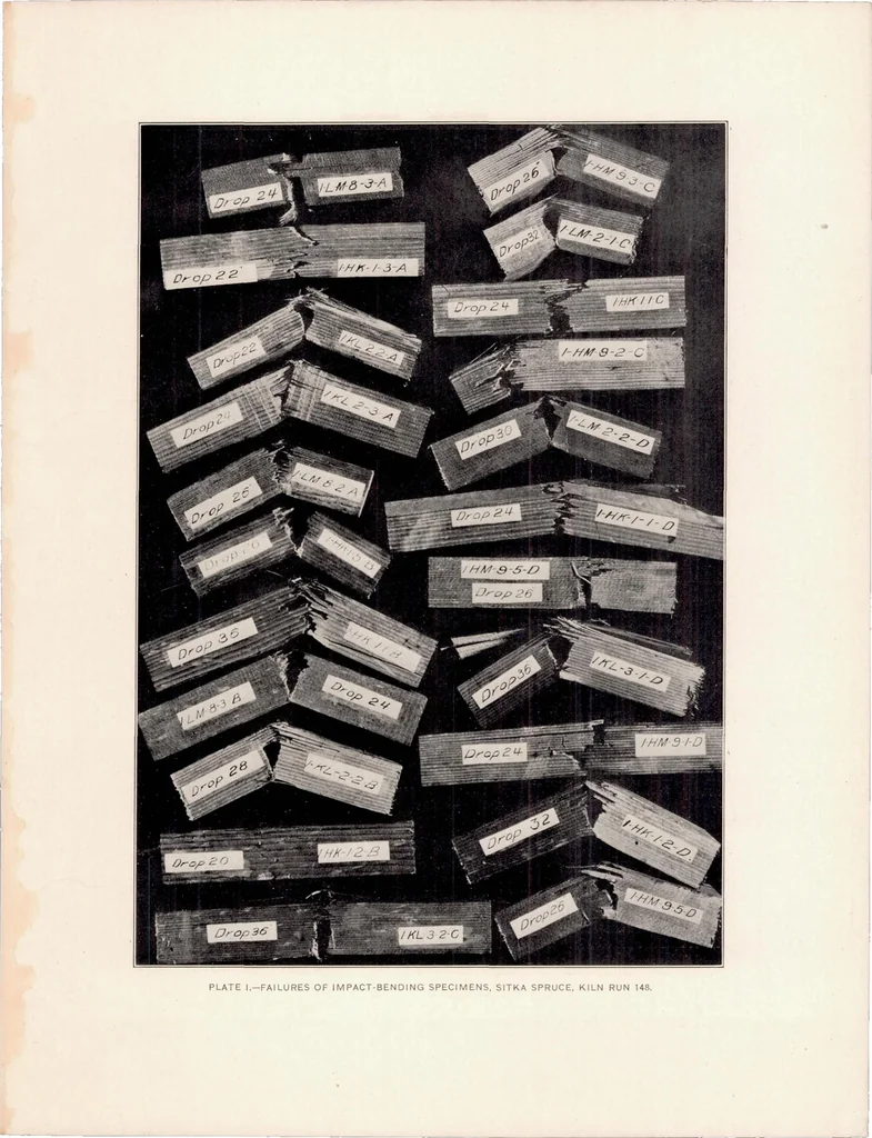 An illustration from The Effect of Kiln Drying on the Strength of Airplane Woods, 1920, leaf 39