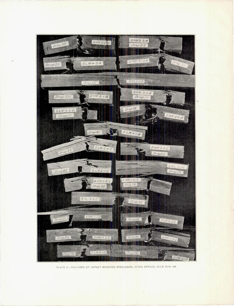 An illustration from The Effect of Kiln Drying on the Strength of Airplane Woods, 1920, leaf 40