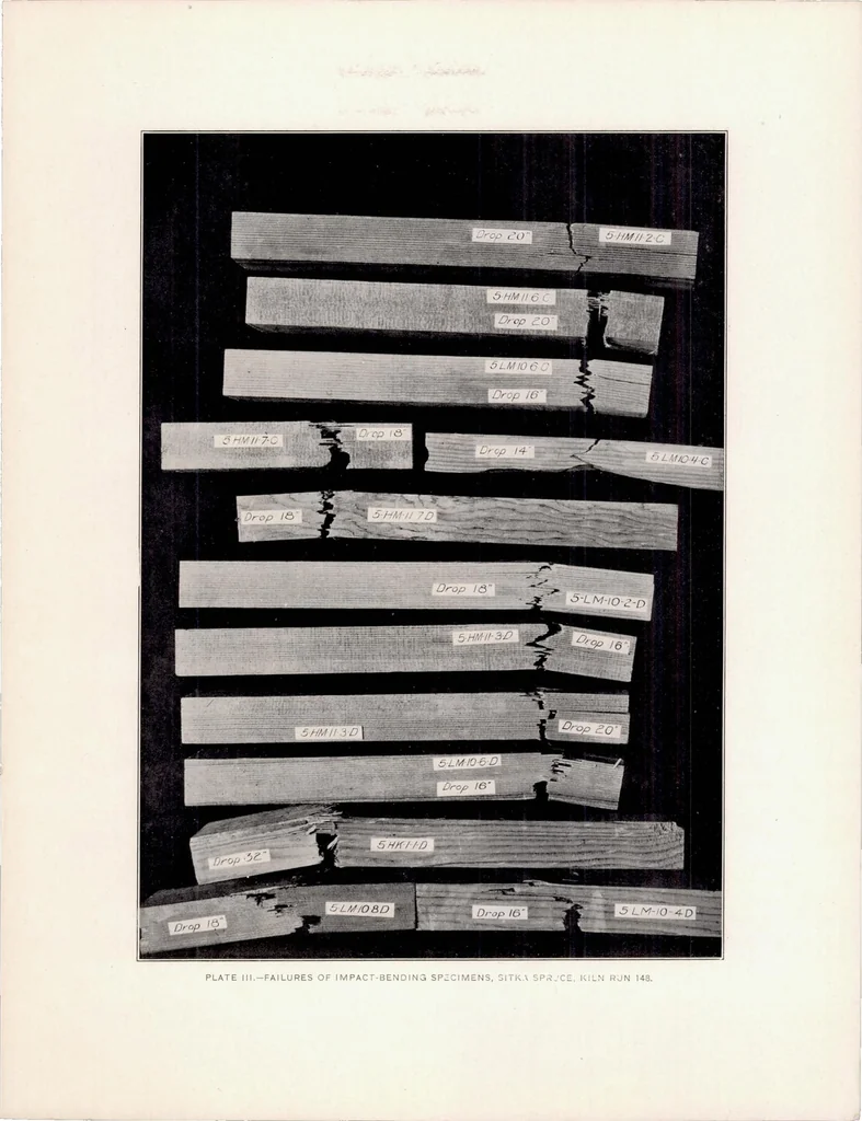 An illustration from The Effect of Kiln Drying on the Strength of Airplane Woods, 1920, leaf 41