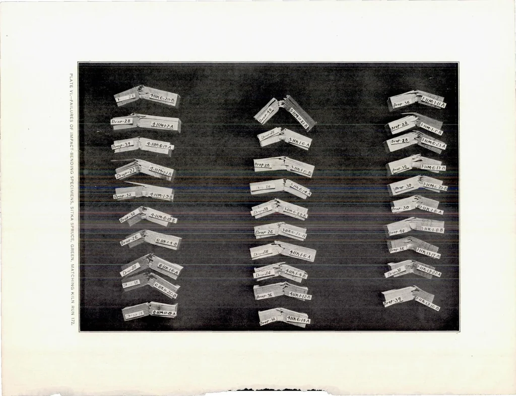An illustration from The Effect of Kiln Drying on the Strength of Airplane Woods, 1920, leaf 44