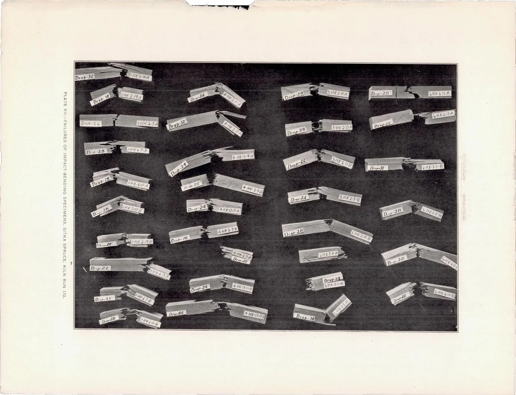 An illustration from The Effect of Kiln Drying on the Strength of Airplane Woods, 1920, leaf 45