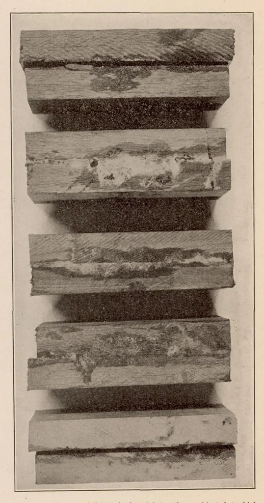 An illustration from Internal Stresses in Laminated Construction, 1923, leaf 17