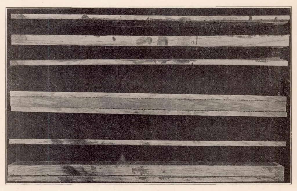 An illustration from Internal Stresses in Laminated Construction, 1923, leaf 18
