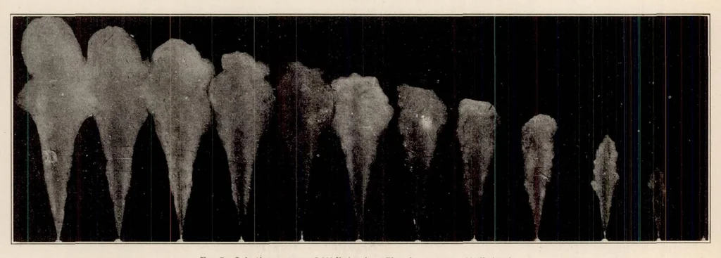 An illustration from Spray Penetration with a Simple Fuel Injection Nozzle, 1926, leaf 7