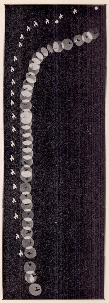 An illustration from Maneuverability Investigation of an F6C-4 Fighting Airplane, 1932, leaf 8