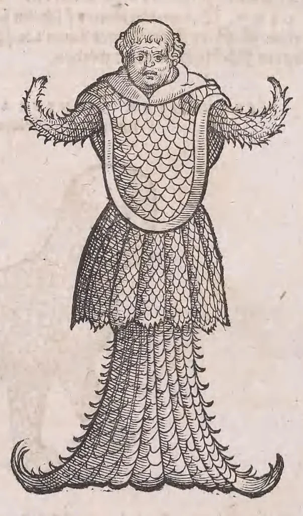 An illustration from Nomenclator aquatilium animantium : Icones animalium in mari et dulcibus aquis degentium plus quam DCC. cum nomenclaturis singulorum Latinis, Graecis, Italicis, Hispanicis, Gallicis, Germanicis, Anglicis, alijsq́[ue] interdum, per certos ordines digestae ..., 1606, leaf 205
