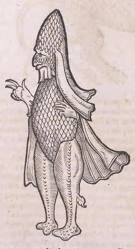 An illustration from Nomenclator aquatilium animantium : Icones animalium in mari et dulcibus aquis degentium plus quam DCC. cum nomenclaturis singulorum Latinis, Graecis, Italicis, Hispanicis, Gallicis, Germanicis, Anglicis, alijsq́[ue] interdum, per certos ordines digestae ..., 1606, leaf 205