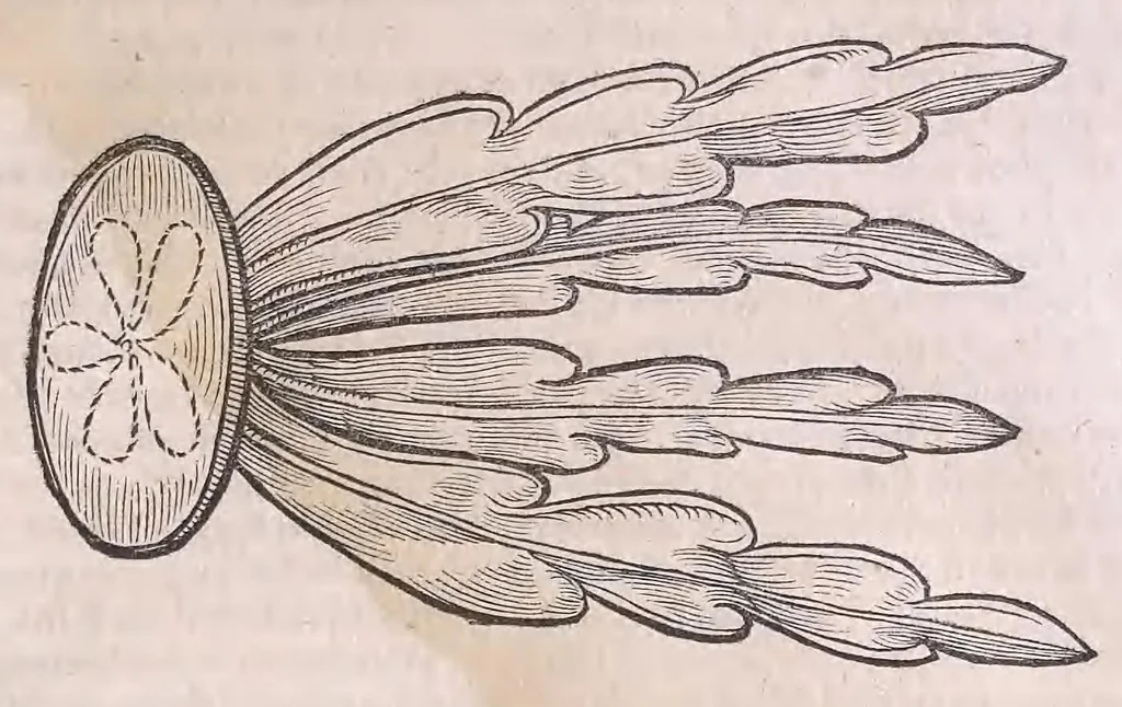 An illustration from Nomenclator aquatilium animantium : Icones animalium in mari et dulcibus aquis degentium plus quam DCC. cum nomenclaturis singulorum Latinis, Graecis, Italicis, Hispanicis, Gallicis, Germanicis, Anglicis, alijsq́[ue] interdum, per certos ordines digestae ..., 1606, leaf 230