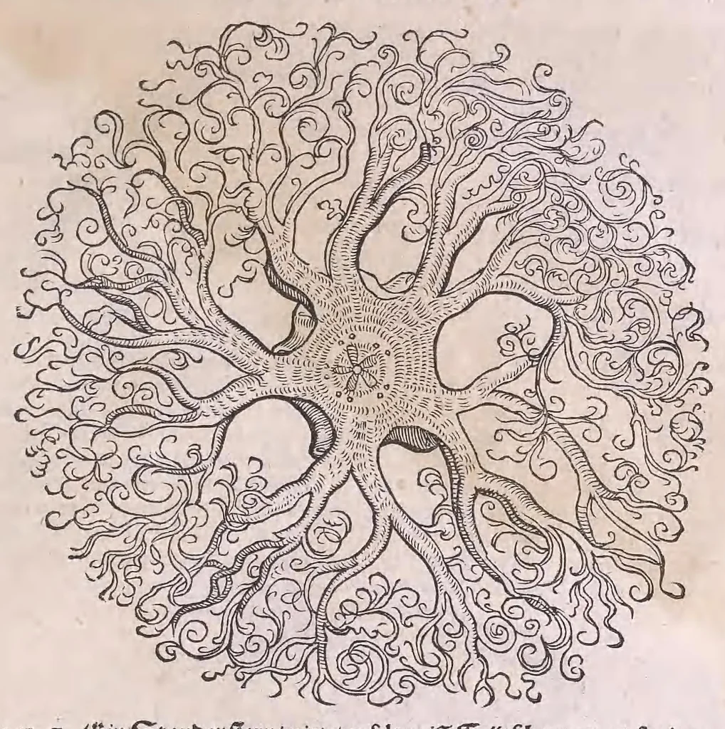 An illustration from Nomenclator aquatilium animantium : Icones animalium in mari et dulcibus aquis degentium plus quam DCC. cum nomenclaturis singulorum Latinis, Graecis, Italicis, Hispanicis, Gallicis, Germanicis, Anglicis, alijsq́[ue] interdum, per certos ordines digestae ..., 1606, leaf 292