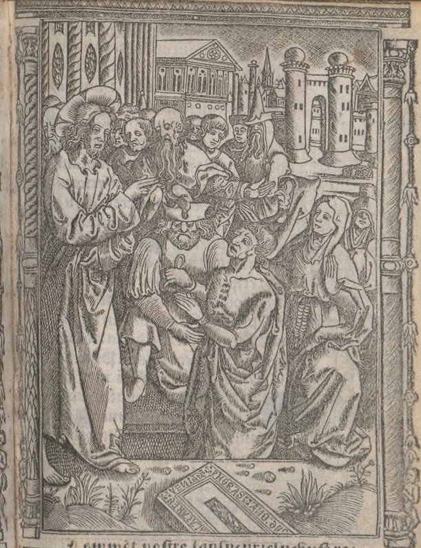An illustration from [Horae ad usum Romanum. Lat. et fr. :] Heures à l’usaige de Romme, 1505, leaf 190