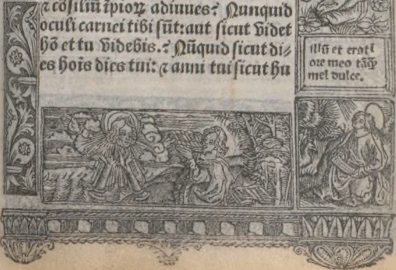 An illustration from [Horae ad usum Romanum. Lat. et fr. :] Heures à l’usaige de Romme, 1505, leaf 202