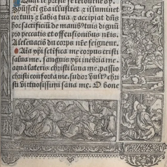 An illustration from [Horae ad usum Romanum. Lat. et fr. :] Heures à l’usaige de Romme, 1505, leaf 260