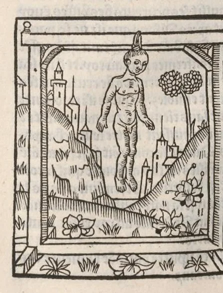 An illustration from Chroniques de France (2ème partie), leaf 337