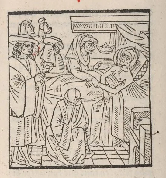 An illustration from Chroniques de France (3ème partie), leaf 529