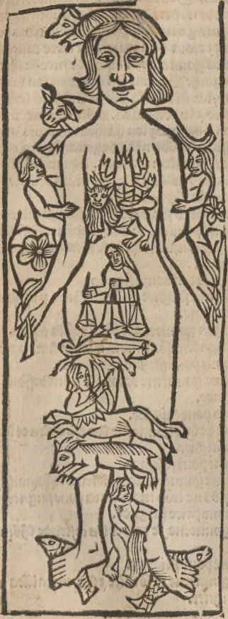 An illustration from [Calendrier des bergers :] Kalendrier et compost des bergiers, 1506, leaf 104