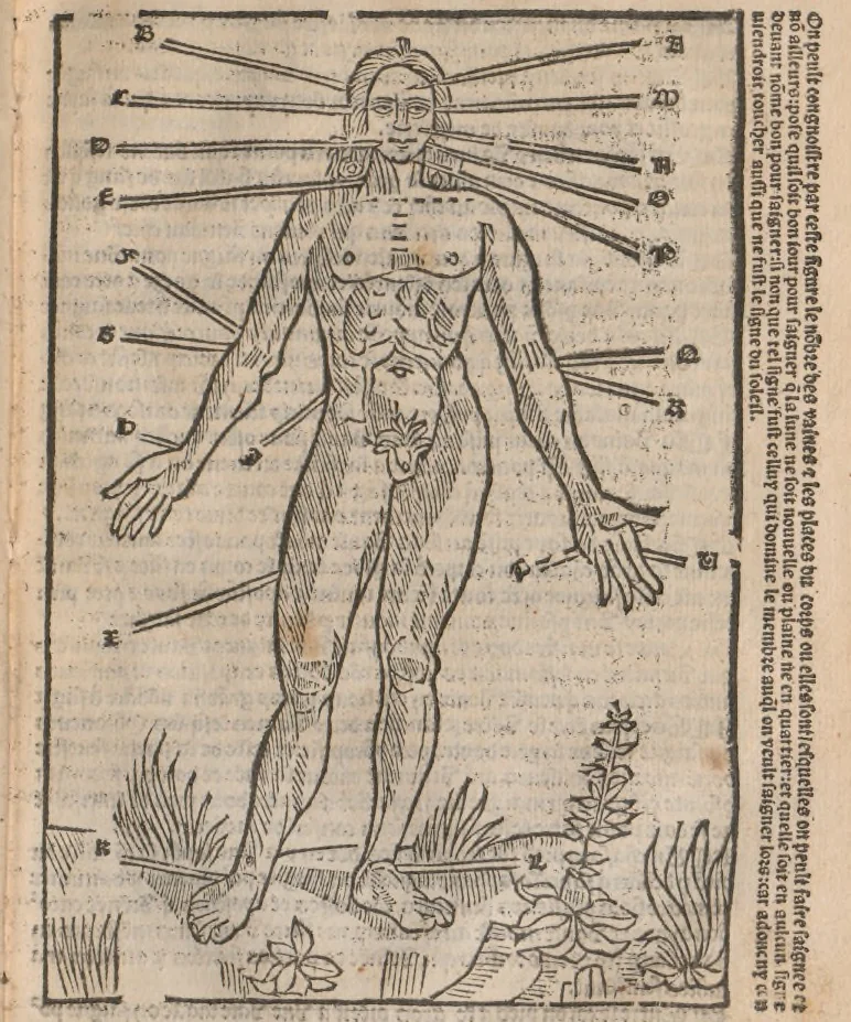 An illustration from [Calendrier des bergers :] Kalendrier et compost des bergiers, 1506, leaf 108