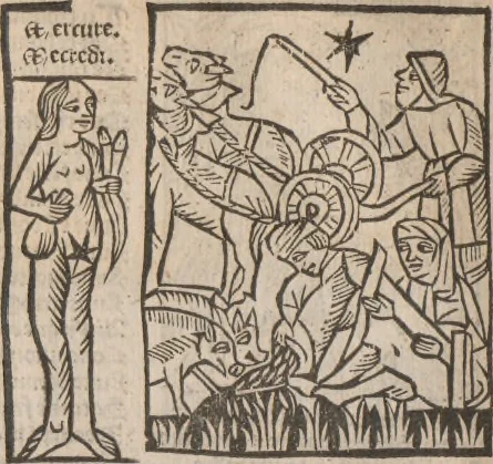 An illustration from [Calendrier des bergers :] Kalendrier et compost des bergiers, 1506, leaf 139