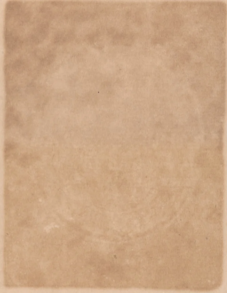 An illustration from Edictum imperiale [Caroli V] contra regem Gallum (12 juillet 1521), 1521, leaf 25