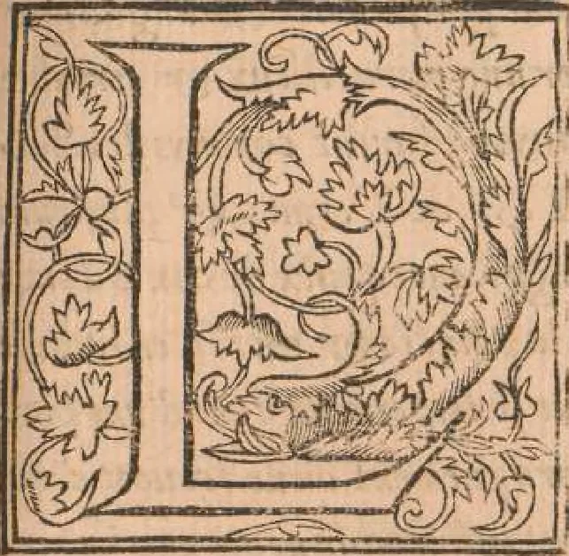 An illustration from La Prinse de Pavie par Monseigneur d'Anguien, accompaigné du Duc d'Urbin..., 1544, leaf 8