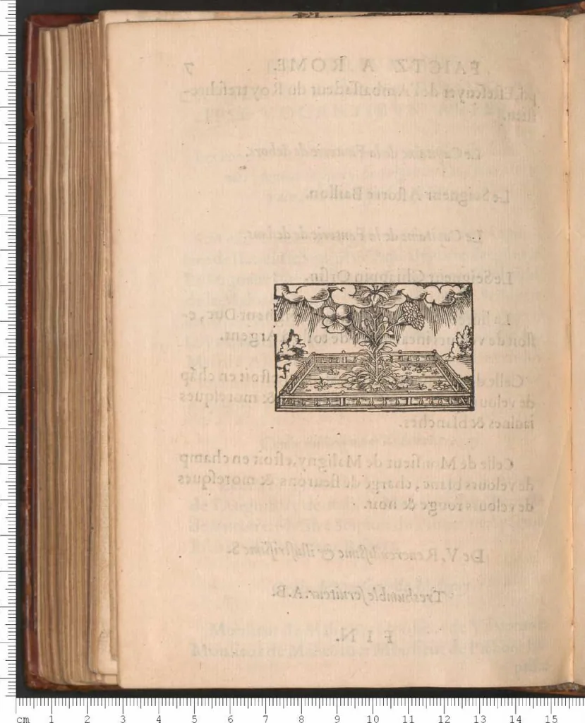 An illustration from La Magnificence des triumphes faictz à Rome, pour la nativité de Monseigneur le Duc d'Orléans second fils du Roy tres chrestien Henry deuxiesme de ce nom. Traduicte d'Italien en Francoys., 1549, leaf 19