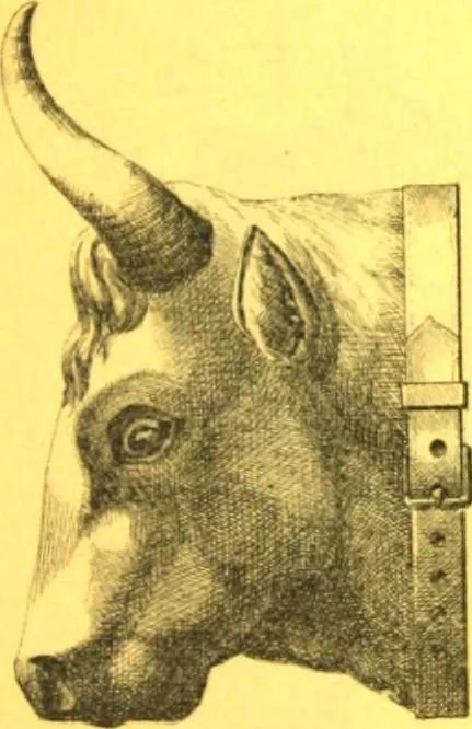 An illustration from Ornements pour l'architecture en zinc, cuivre, tole & plomb : travaux d'art sur dessins croquis & devis., 1912, leaf 248